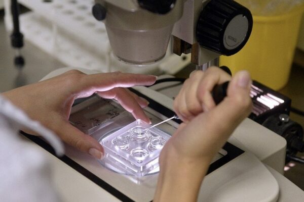 Ин витро оплождане със собствен биологичен материал: подготовка, препоръки и етапи