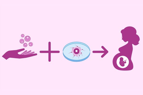 Ин витро с донорски яйцеклетки: кога това е единственият шанс да станете родители