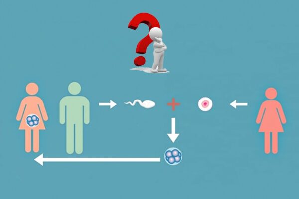 Ин витро с донорски яйцеклетки. Често задавани въпроси (FAQ)