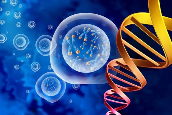 Как работи технологията МЗТ в BioTexCom