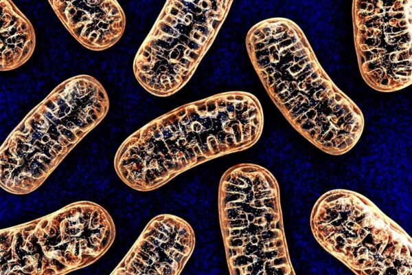 Как в BioTexCom се раждат деца без генетични заболявания