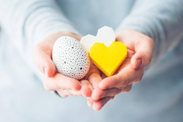 Донация на яйцеклетки: как работи